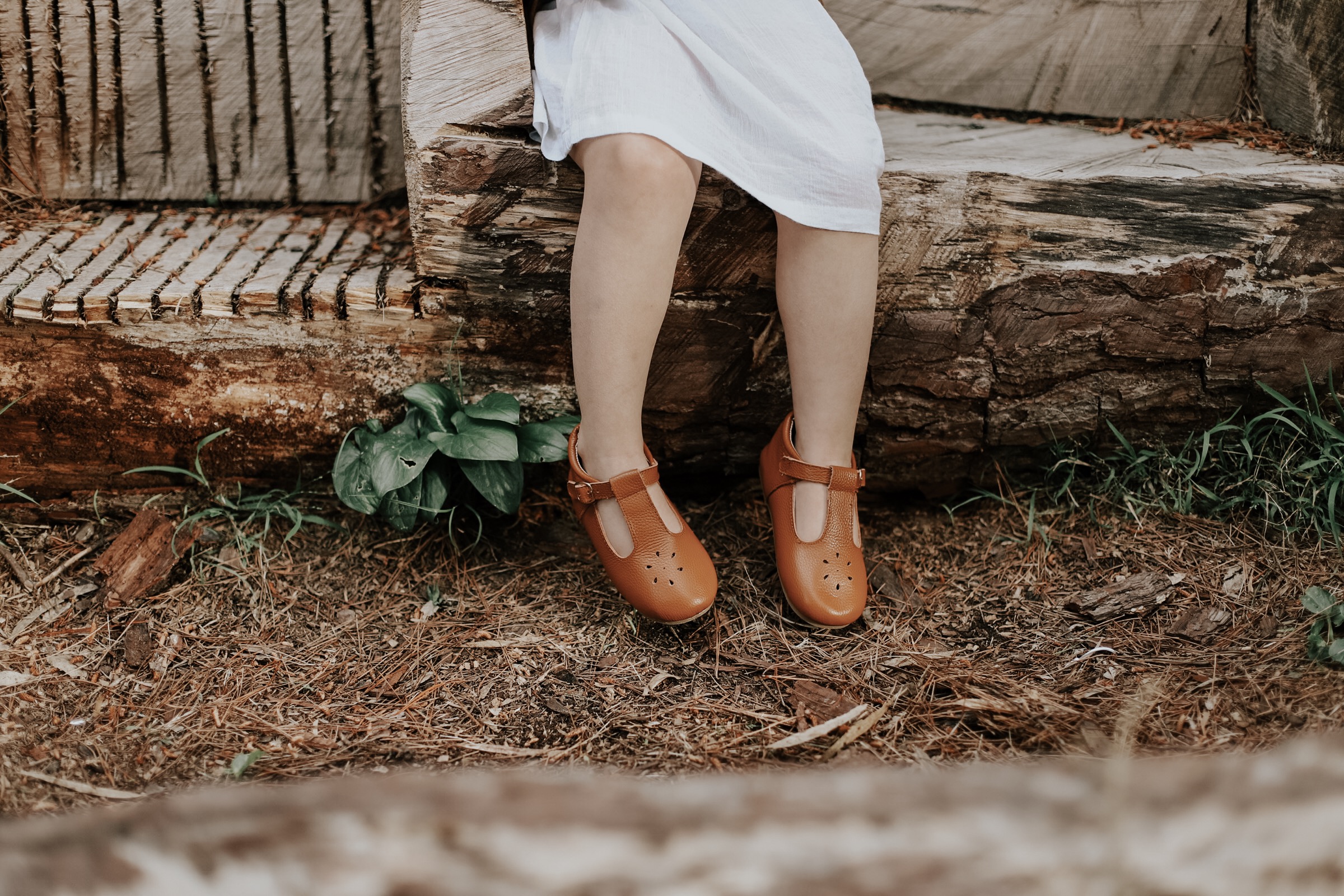 Wander shoes 