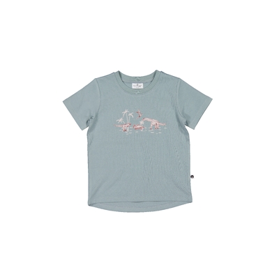 Dino Roar placement T-shirt