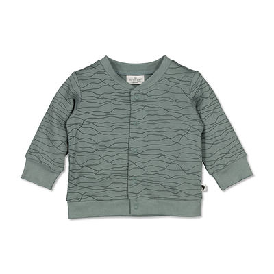 Cardigan  - Terrain
